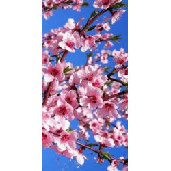 3D Printed Blackout Fabric Set of 2 Curtains for Bedroom (Japanese Cherry Blossom in a Forest)