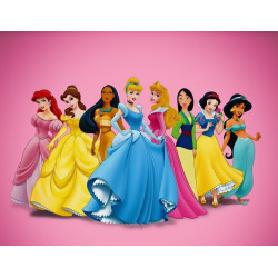 3D Printed Blackout Fabric Set of 2 Curtains for Bedroom (Disney Princess in Pink Background)